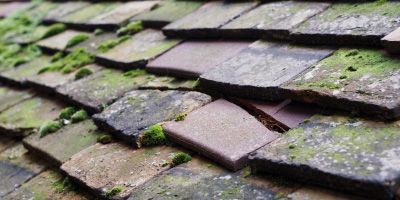 Westlington roof repair costs